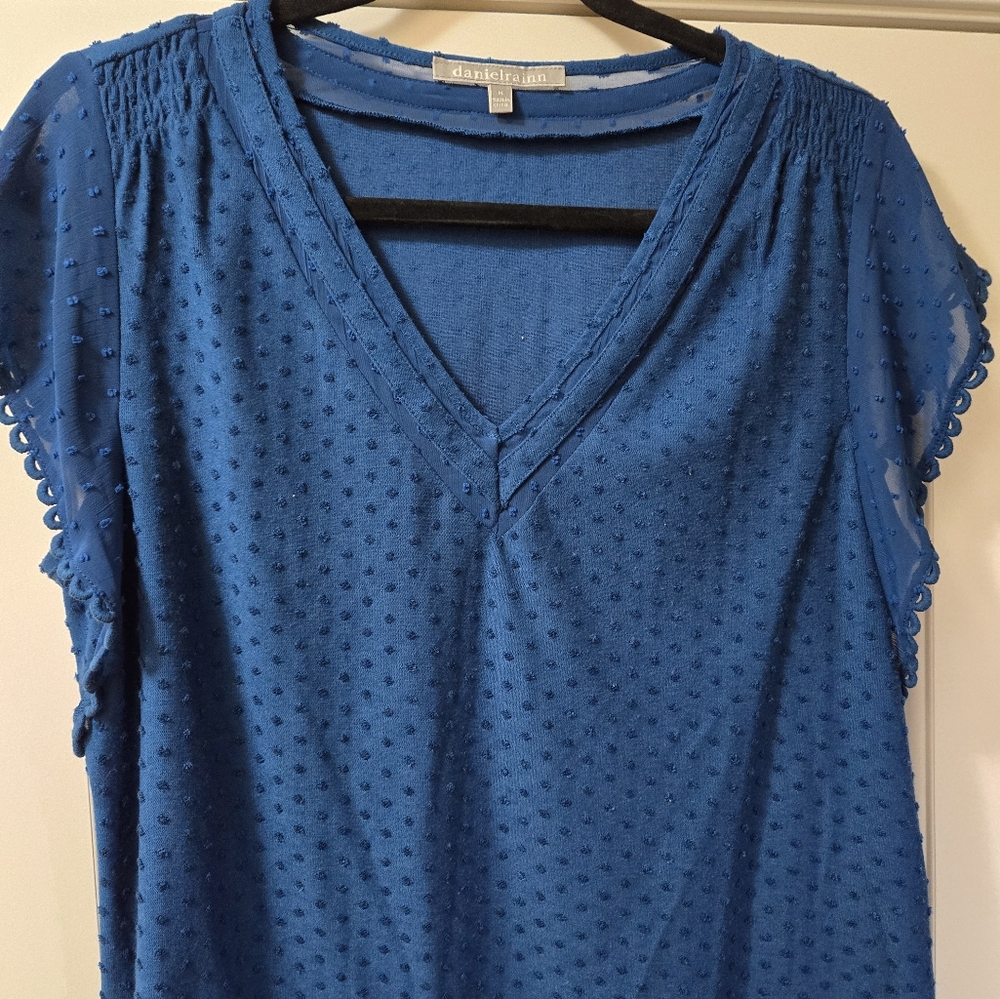 Danielrainn blue top size medium